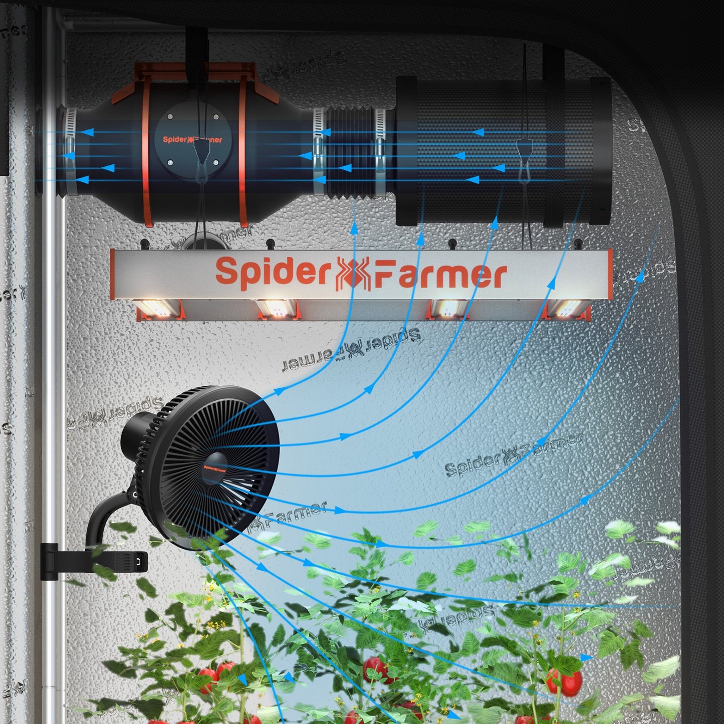 2xG8600W-SET-CP 150x300x200cm