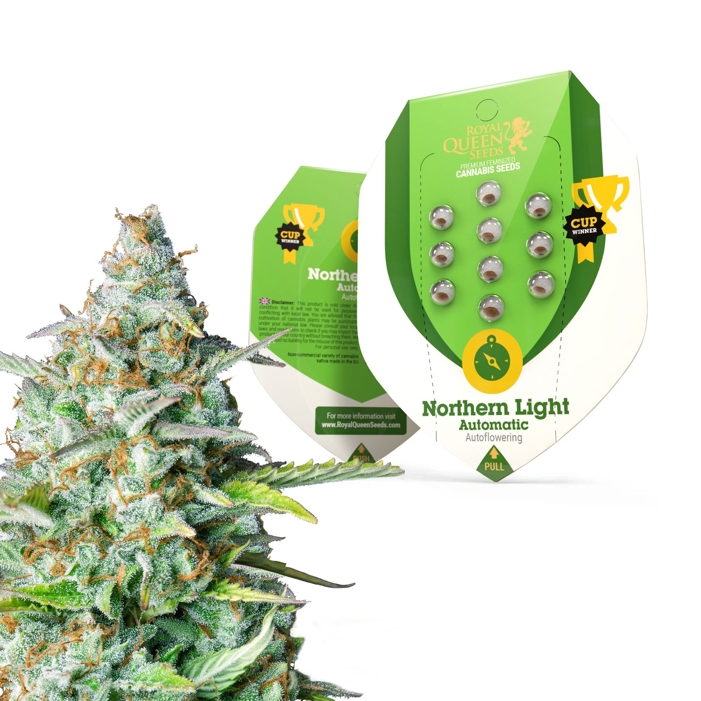 Royal Queen Seeds Northern Light