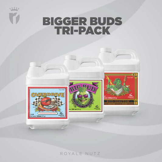 Advanced Nutrients Bigger Buds Pack