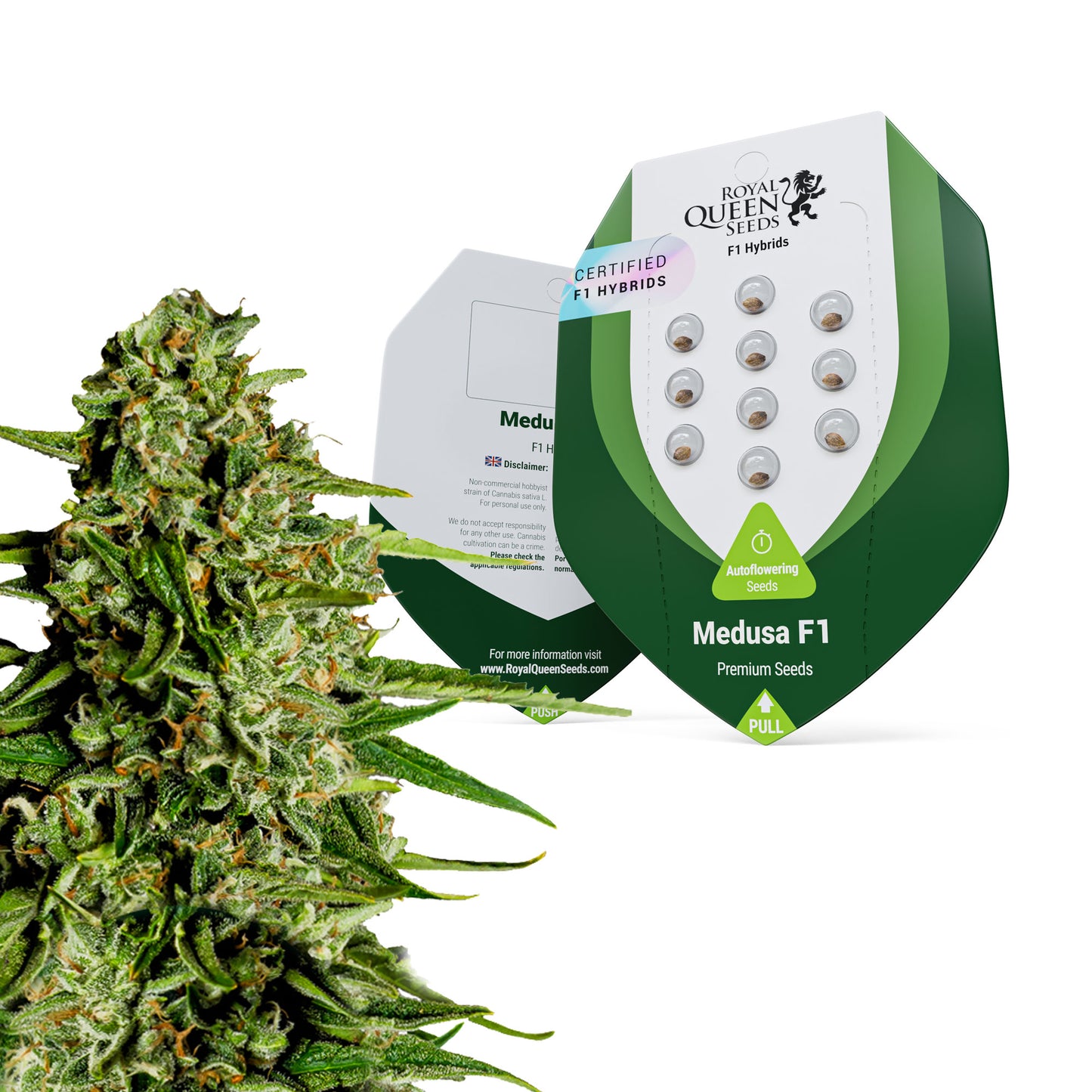 Royal Queen Seeds Medusa F1 Hybrid