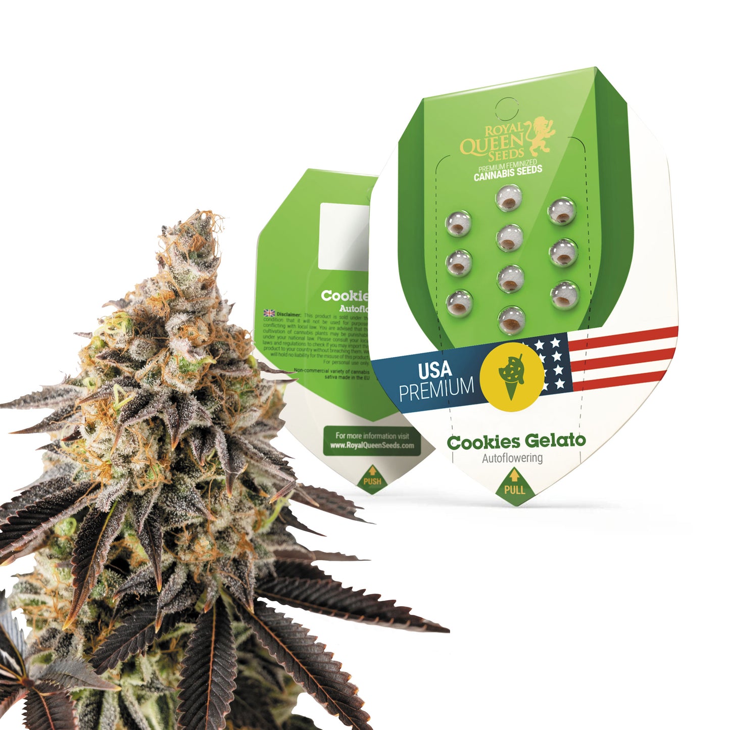 Royal Queen Seeds Cookies Gelato