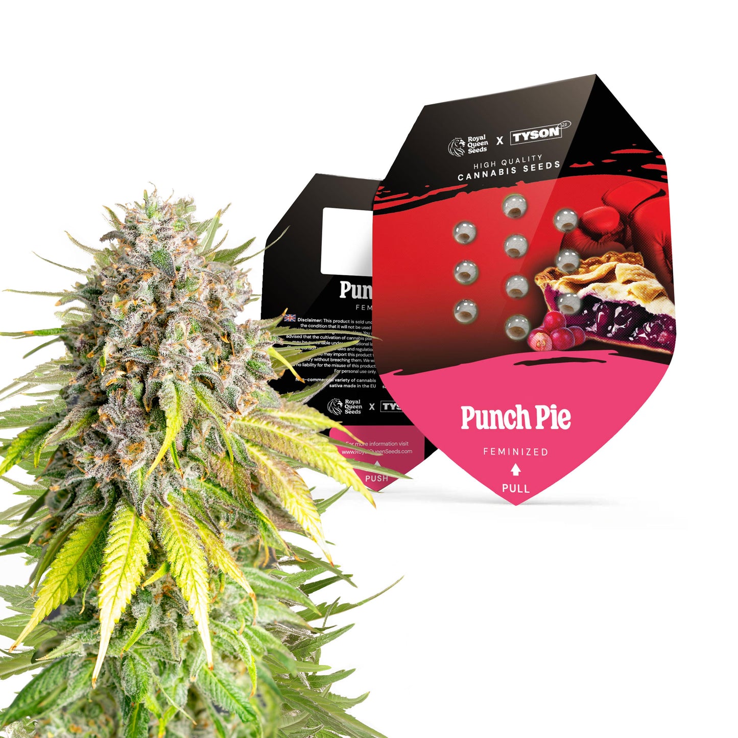 RQS TYSON Punch Pie