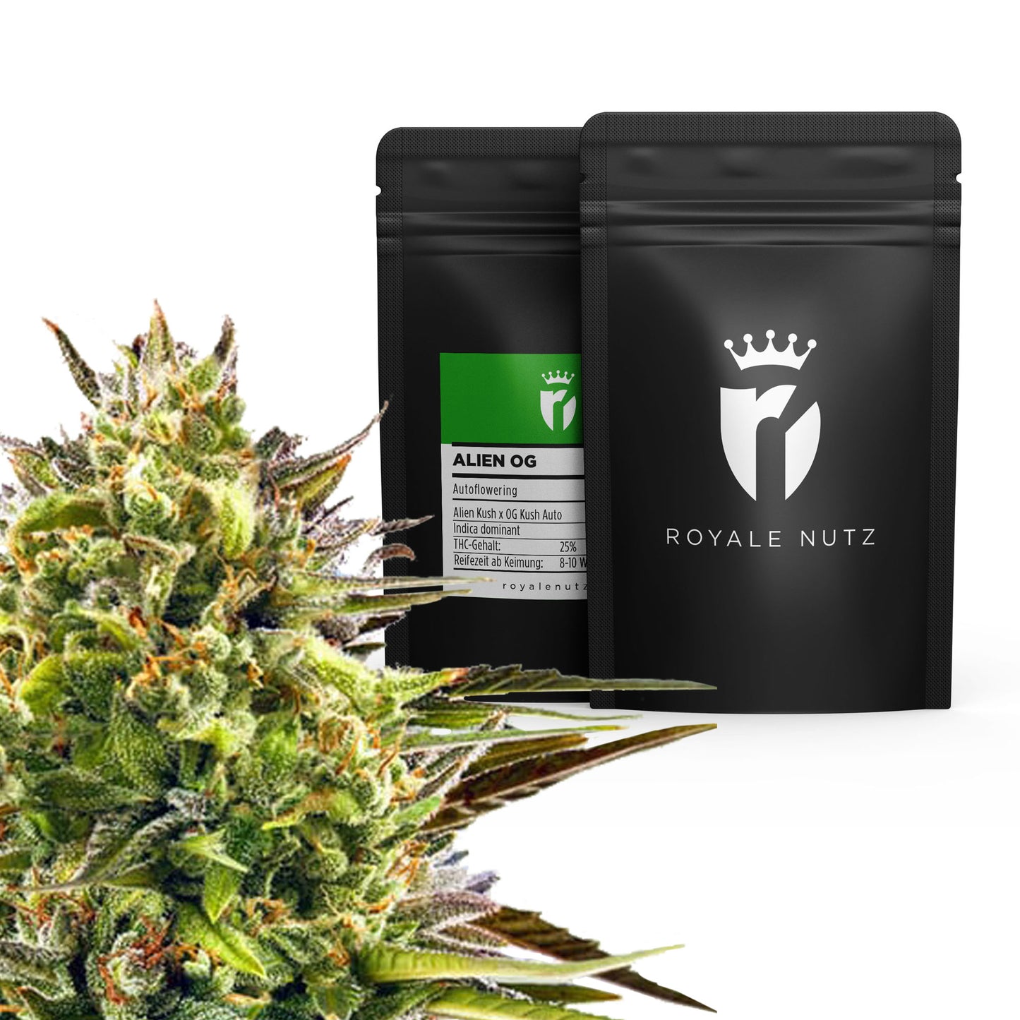 Grow Set Royale Nutz