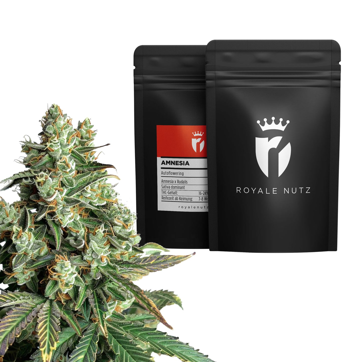 Grow Set Royale Nutz