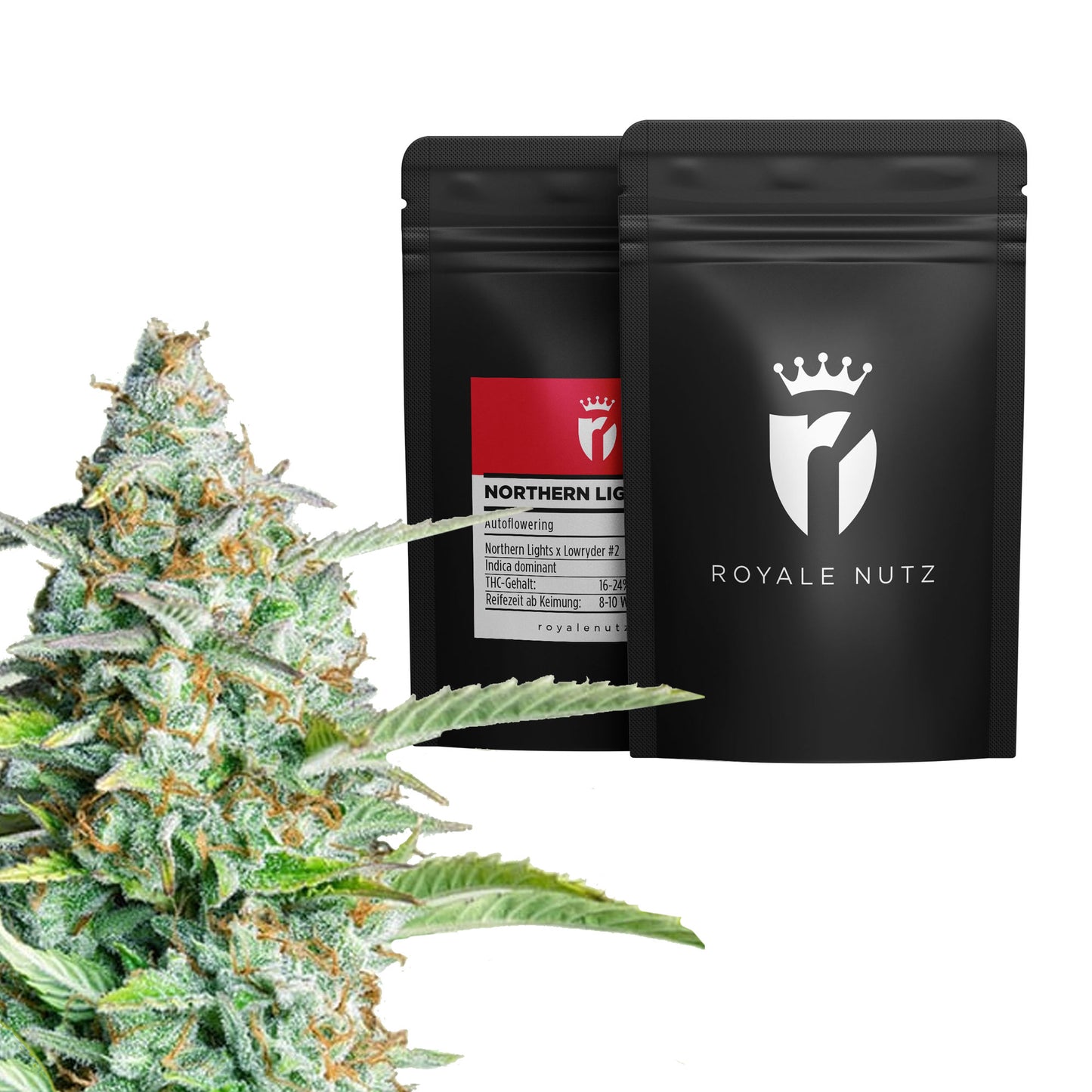 Grow Set Royale Nutz