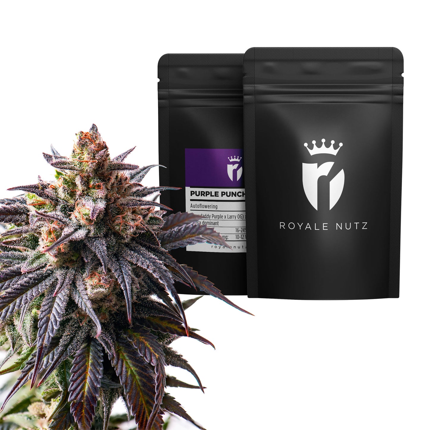 Grow Set Royale Nutz