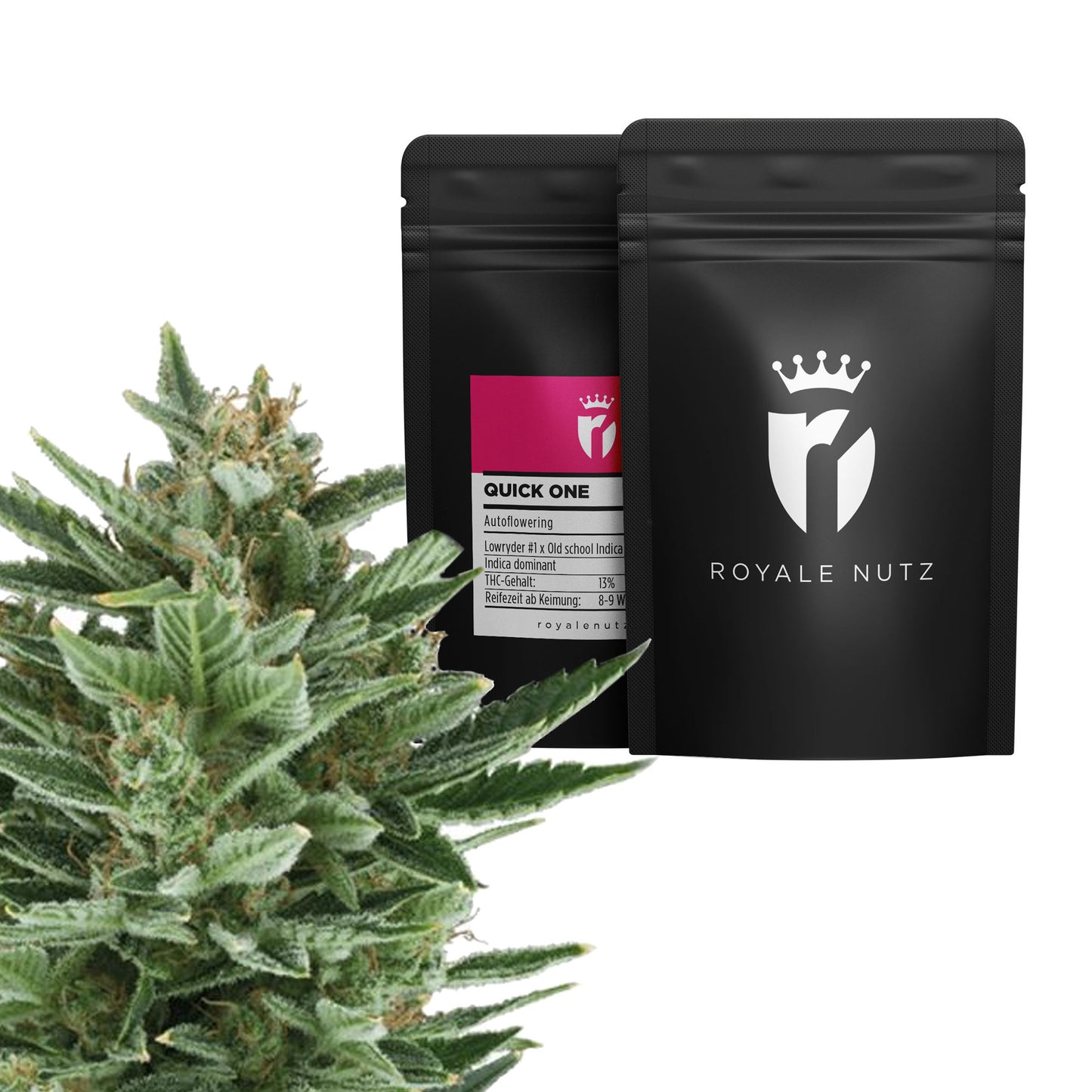 Grow Set Royale Nutz