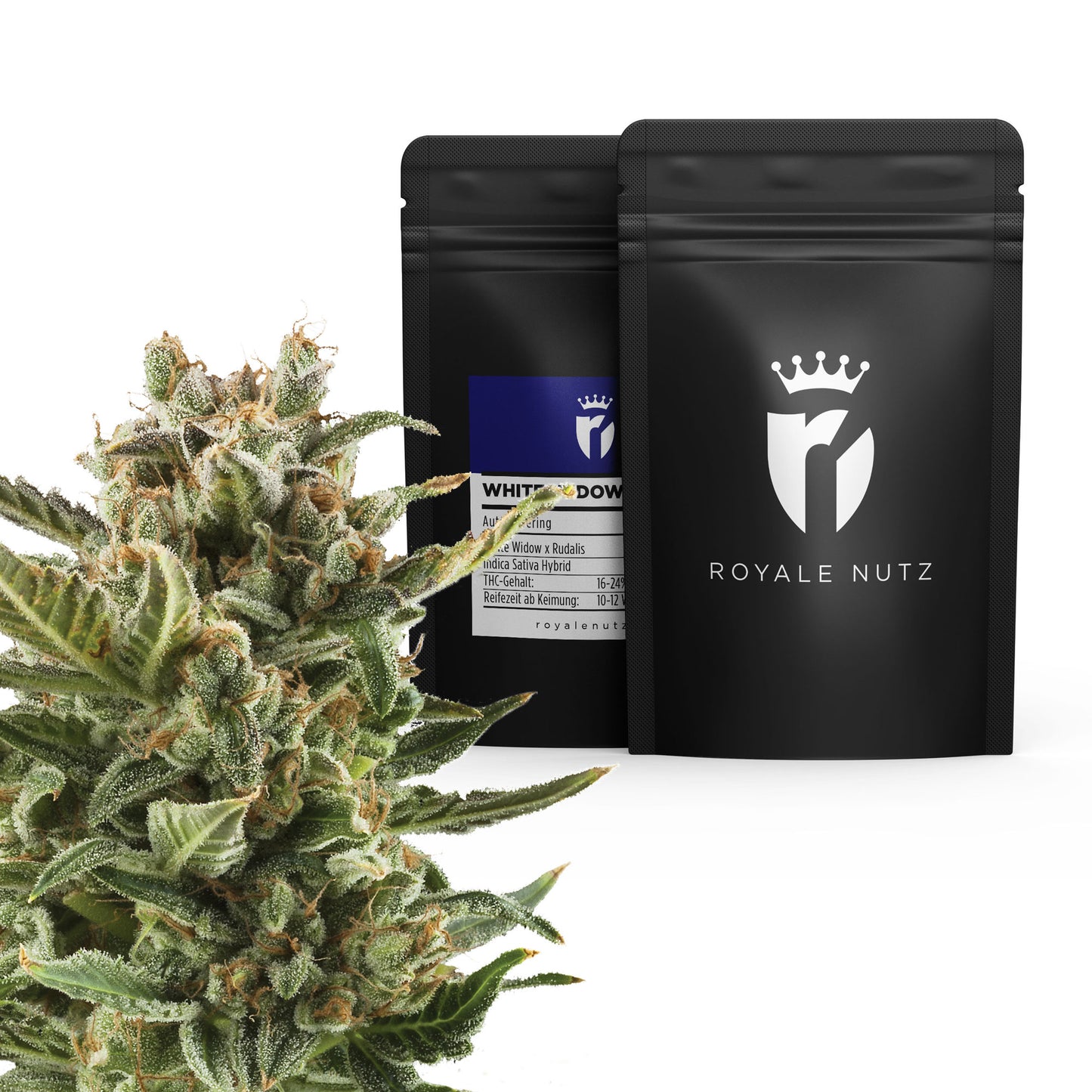 Grow Set Royale Nutz