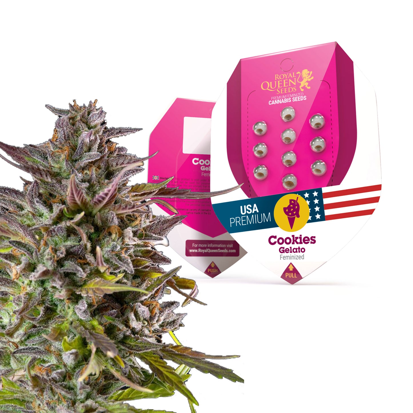 Royal Queen Seeds Cookies Gelato