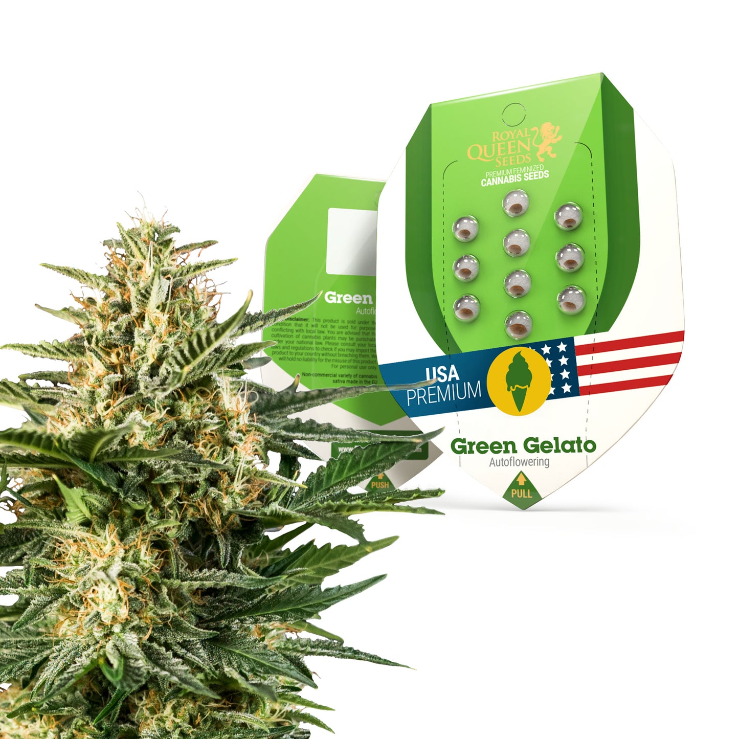 Royal Queen Seeds Green Gelato