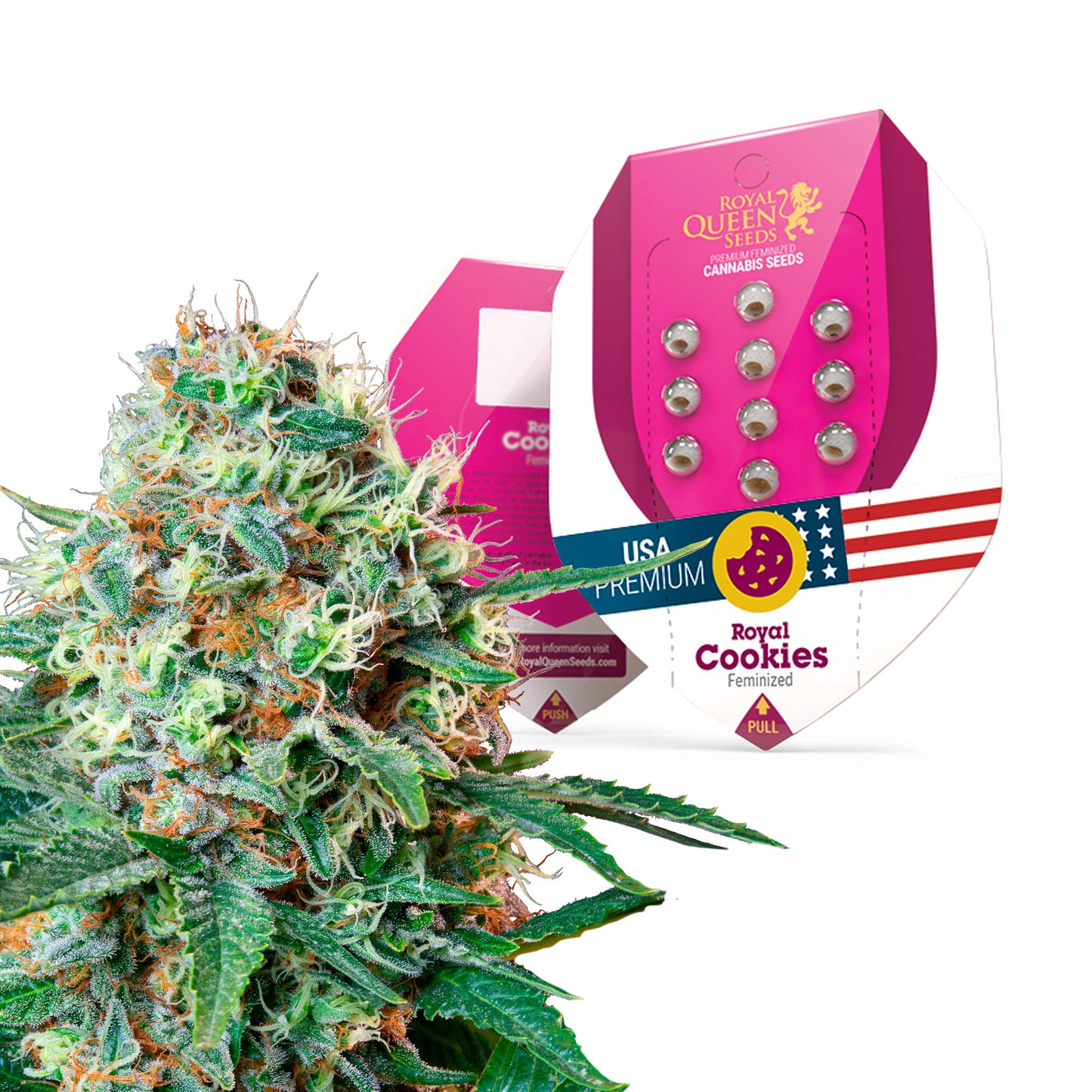 Royal Queen Seeds Royal Cookies