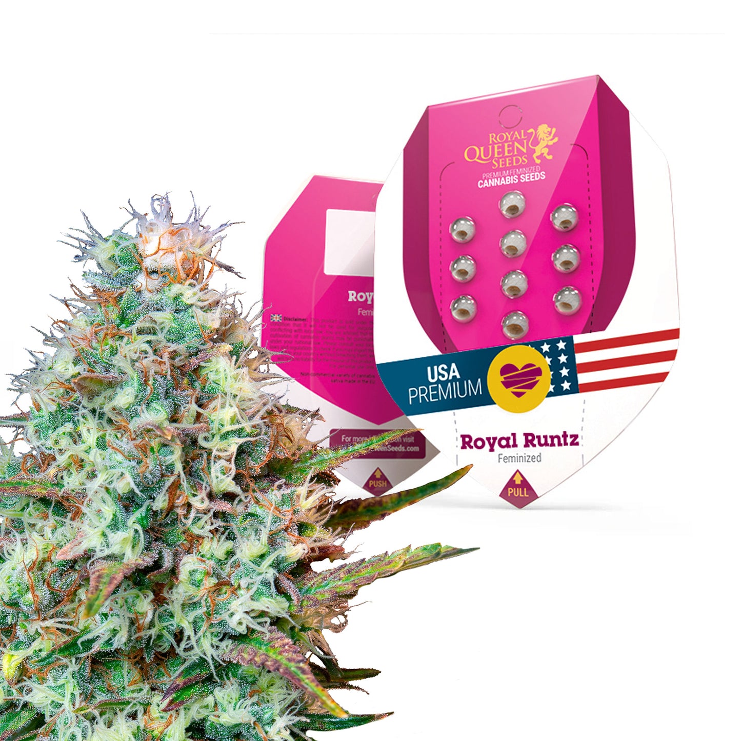 Royal Queen Seeds Royal Runtz