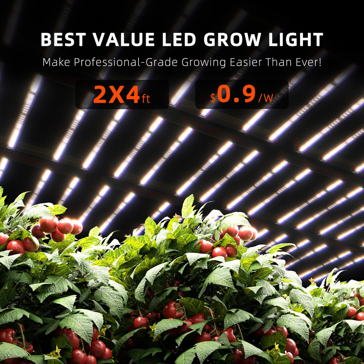 G4500 430W LED Pflanzenlampe Dimmbar Vollspekrum