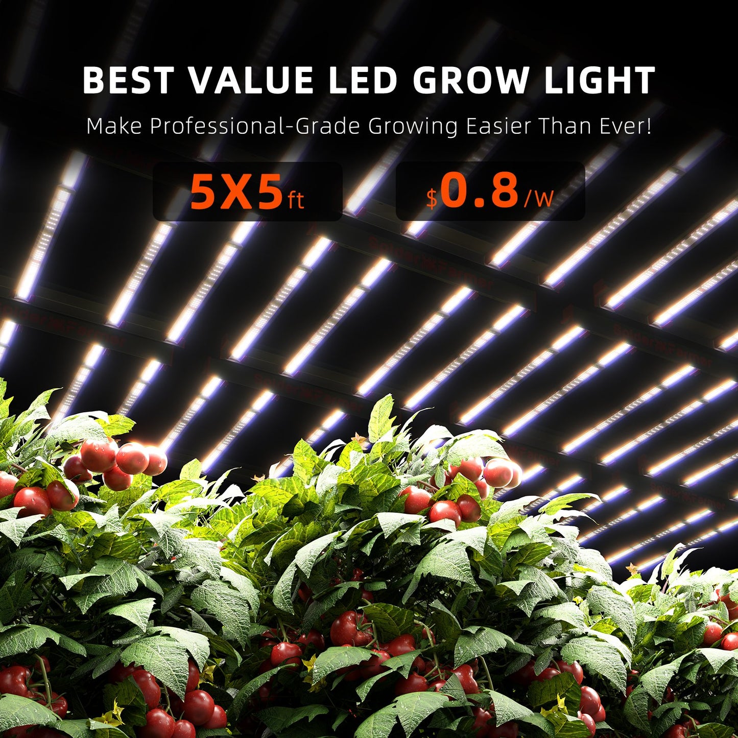 G1000W LED Pflanzenlampe Dimmbar Vollspekrum