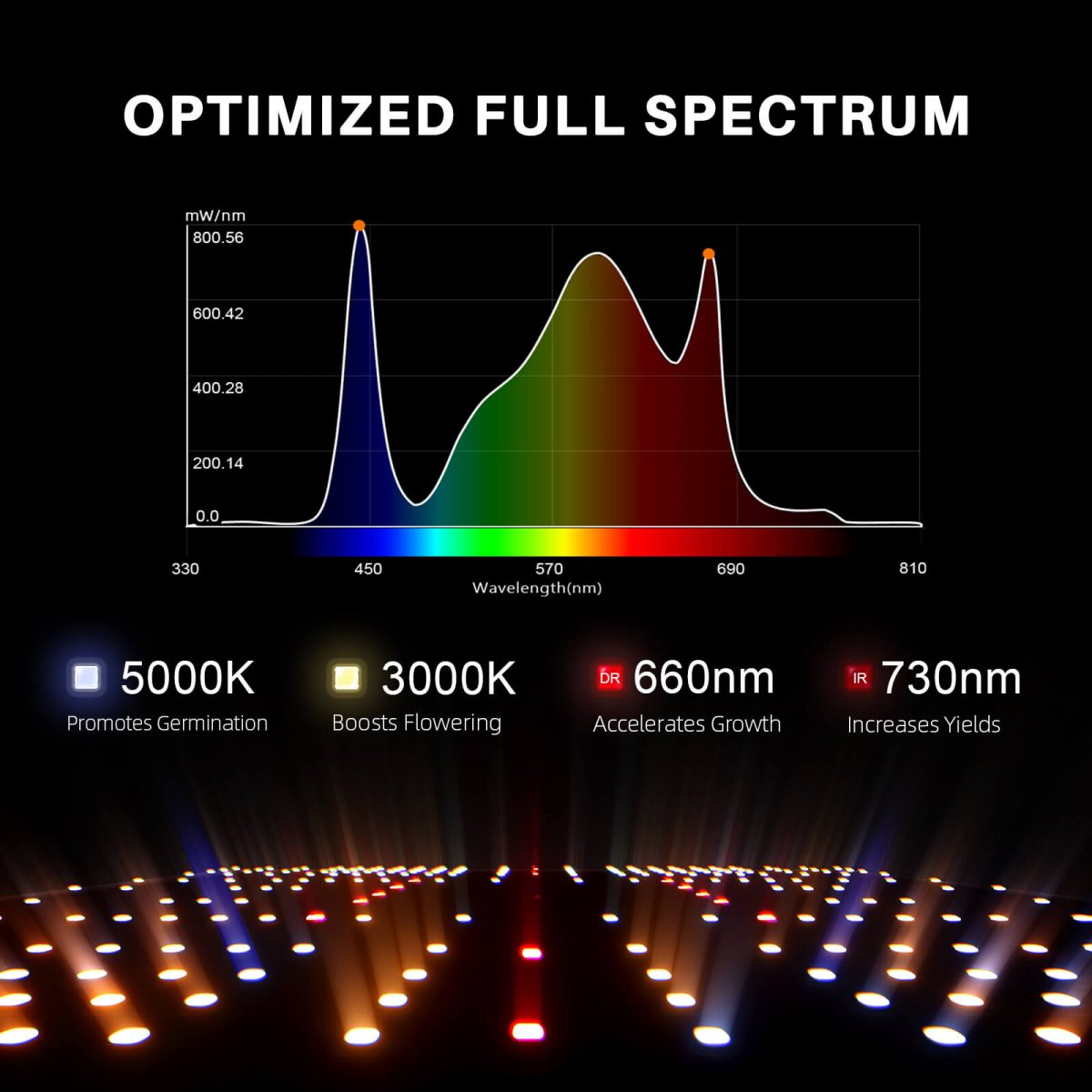 SF2000Pro Samsung LM301H EVO LED Pflanzenlampe