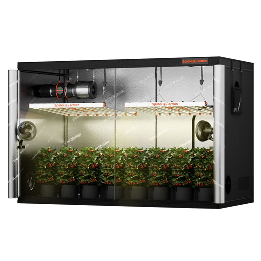 2xG8600W-SET-CP 150x300x200cm