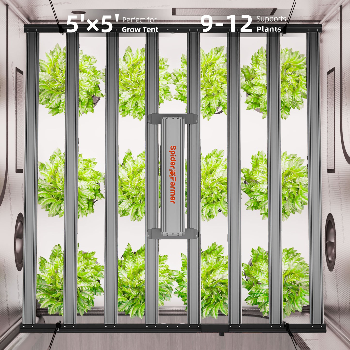 G1000W-SET-CP 150x150x200cm