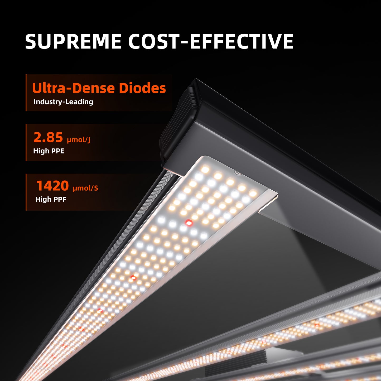 2xG5000-SET-CP 120x240x200cm