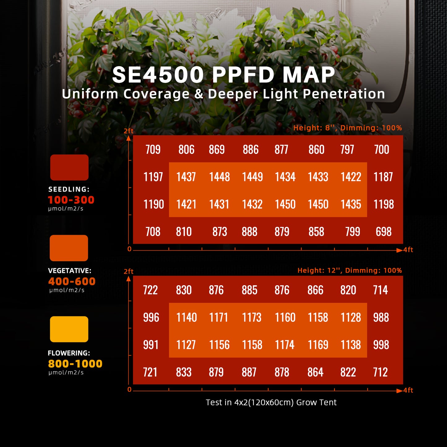 SE4500-SET-CP 70x140x200cm