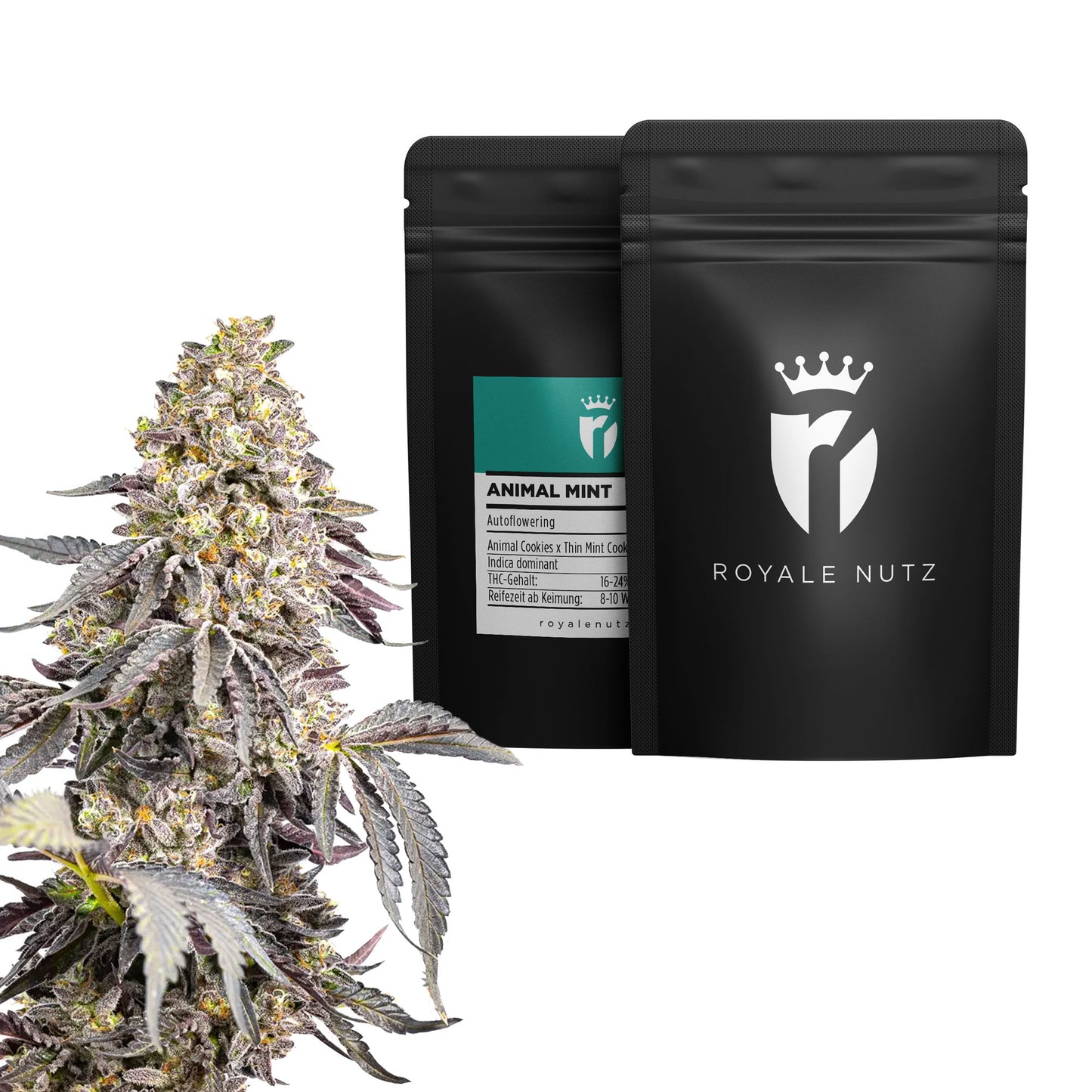 Auto Animal Mint