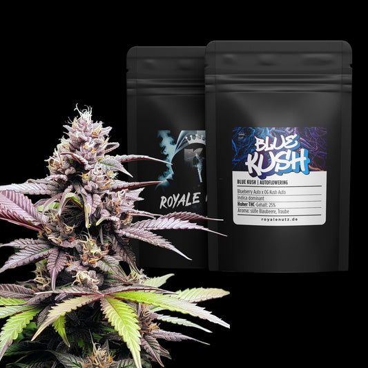 Auto Blue Kush