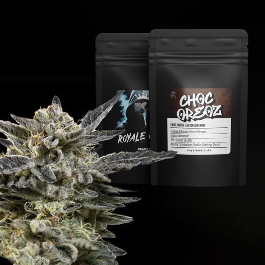 Auto Choc Oreoz