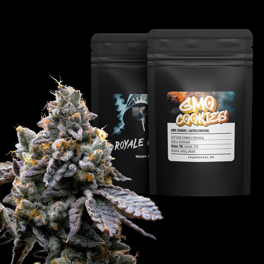 Auto GMO Cookies