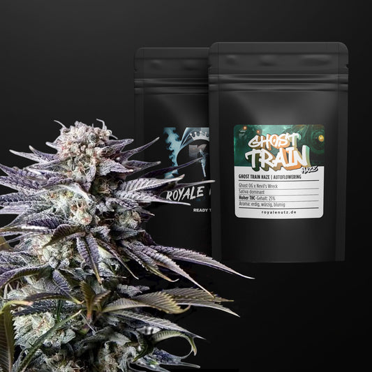 Auto Ghost Train Haze