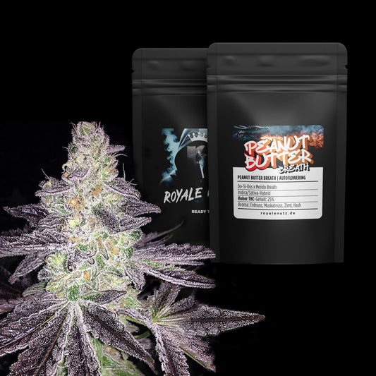Auto Peanut Butter Breath