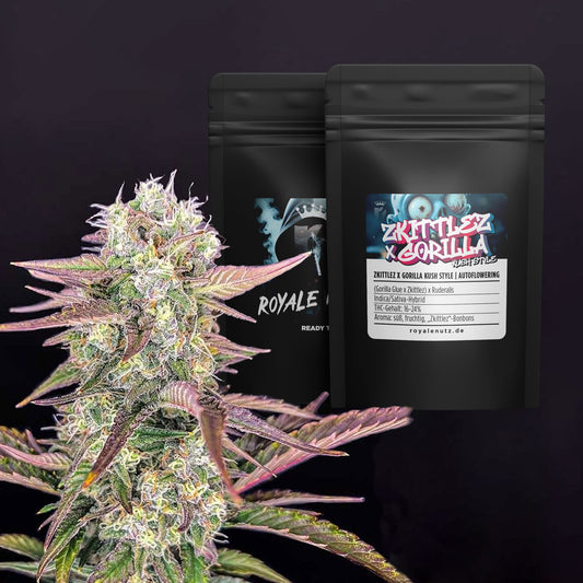 Auto Zkittlez x Gorilla Kush Style