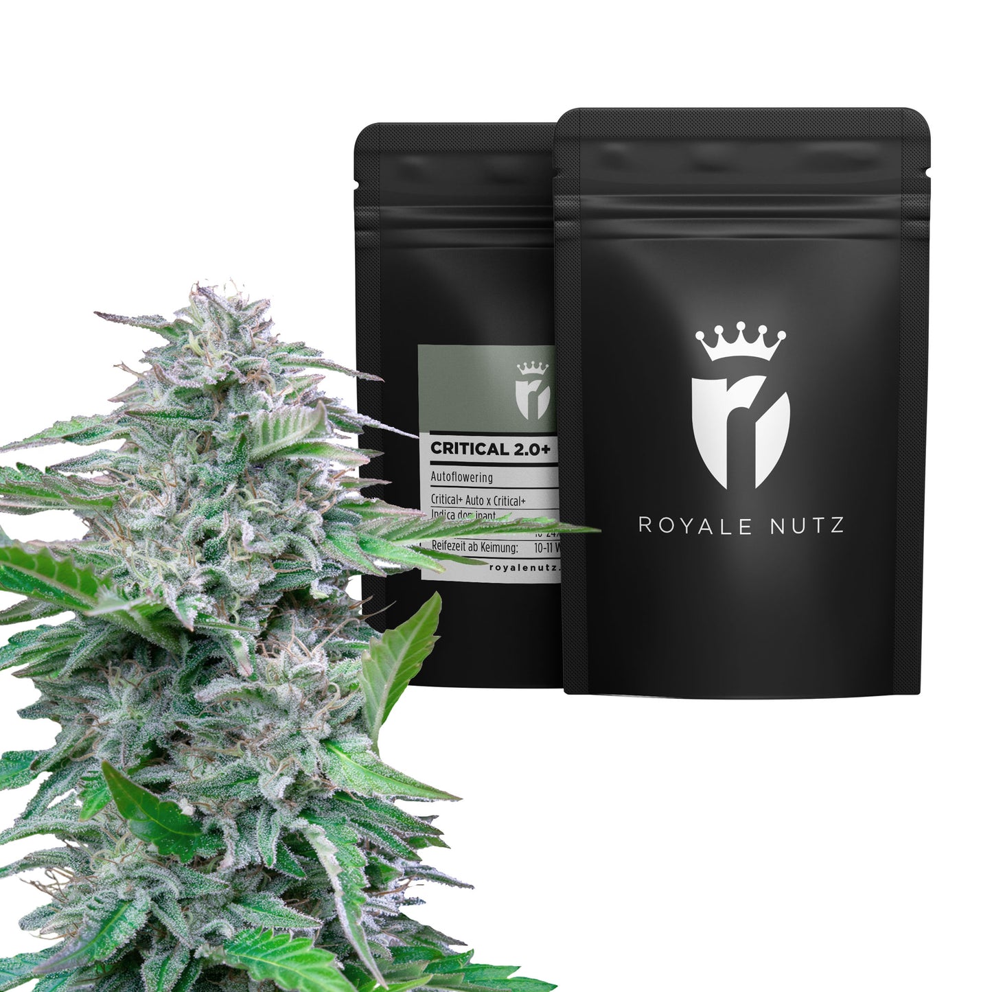 Auto Critical 2.0+