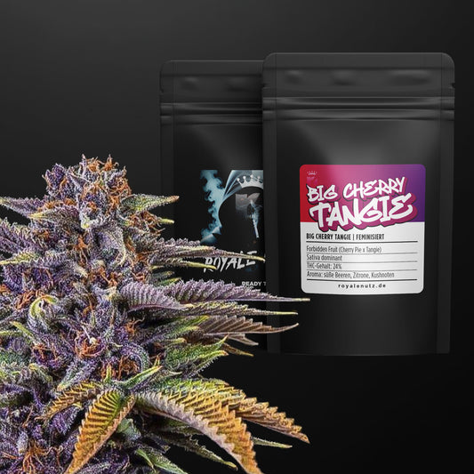 Big Cherry Tangie