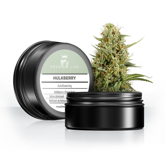 PREMIUM LINE Hulkberry Auto
