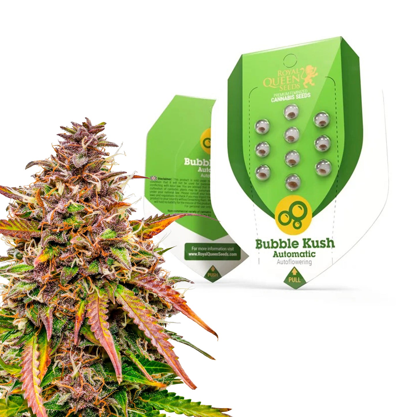 Royal Queen Seeds Bubble Kush
