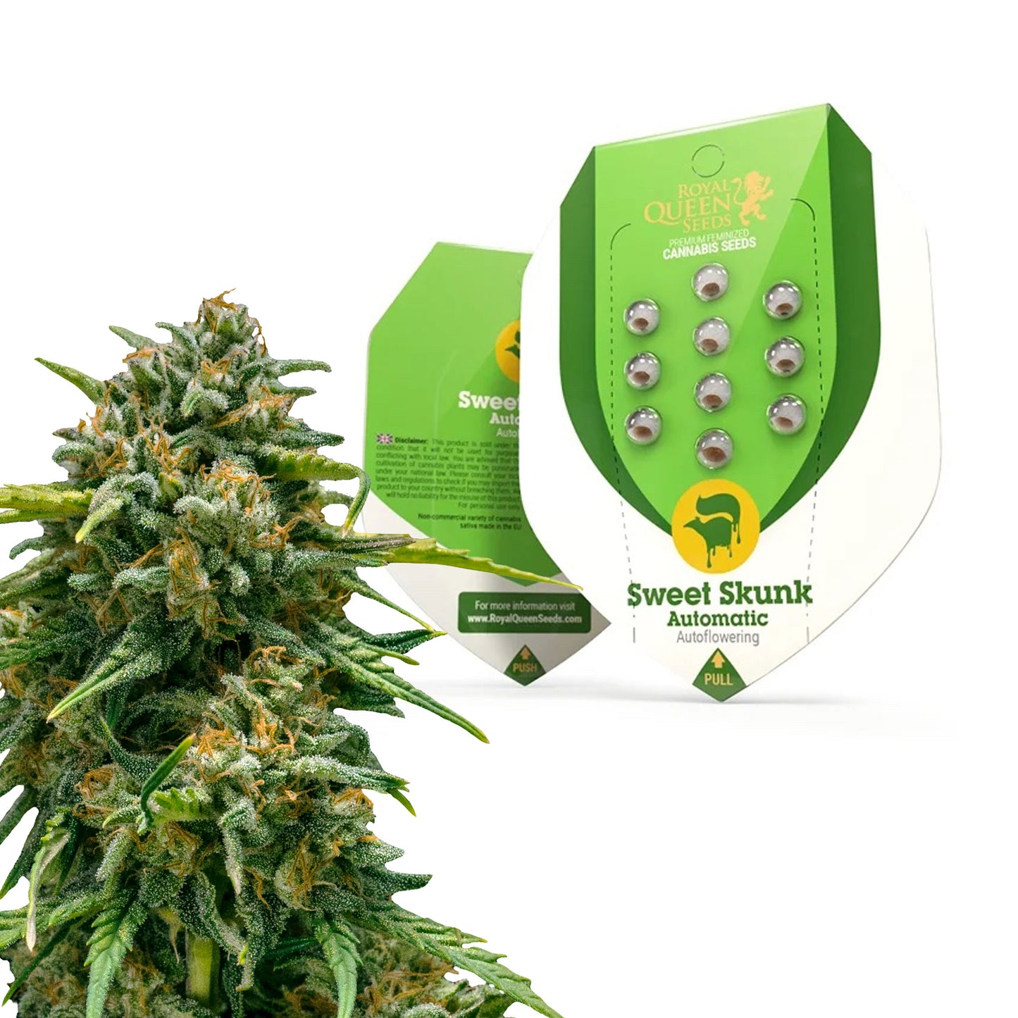 Royal Queen Seeds Sweet Skunk