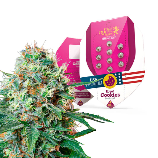 Royal Queen Seeds Royal Cookies