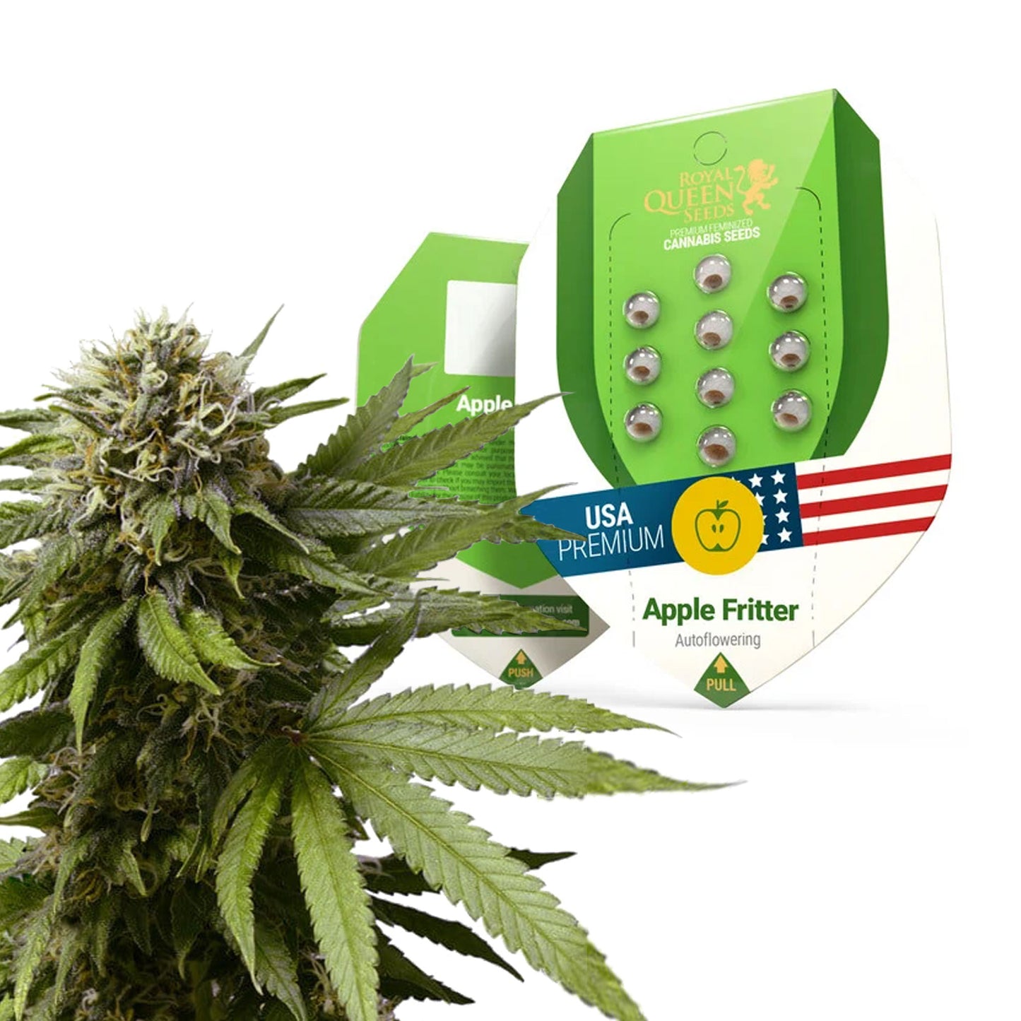 Royal Queen Seeds Apple Fritter