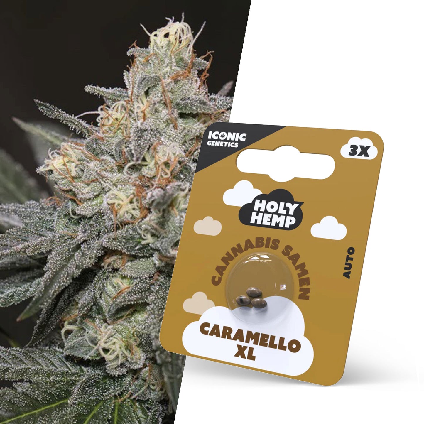 Holy Hemp Caramello XL