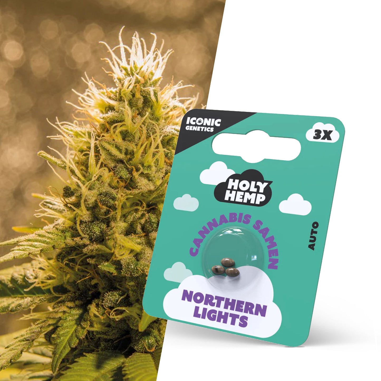 Holy Hemp Northern Lights