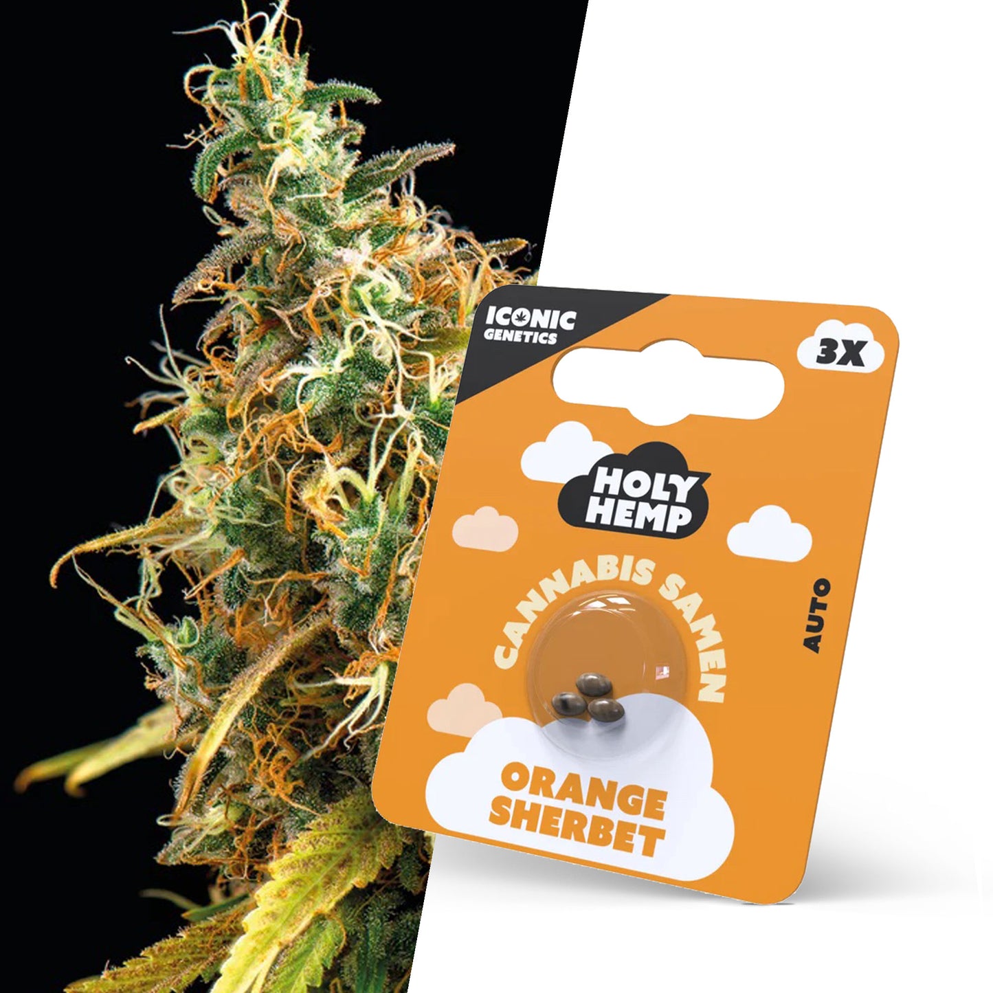 Holy Hemp Orange Sherbet