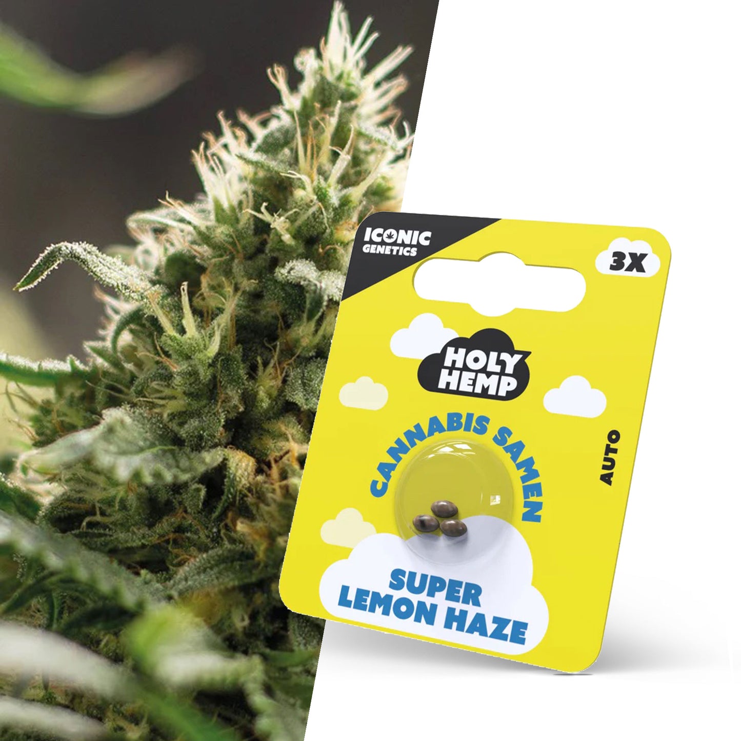 Holy Hemp Super Lemon Haze