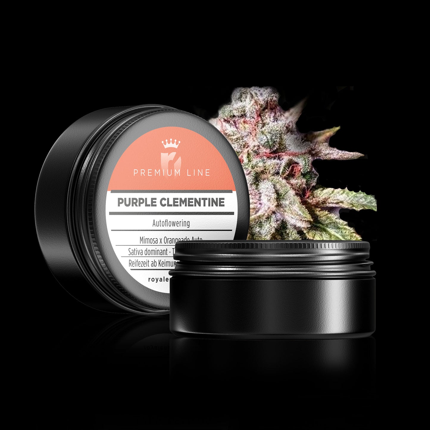 PREMIUM LINE Purple Clementine