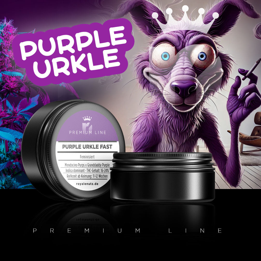 PREMIUM LINE Purple Urkle