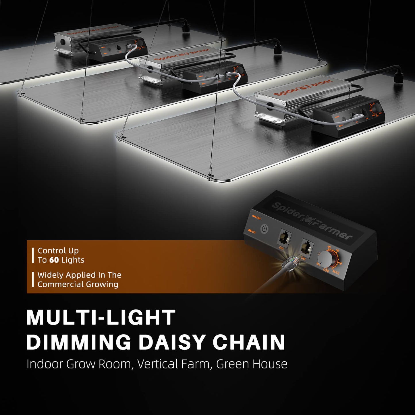 SF2000 Samsung LM301H EVO LED Pflanzenlampe